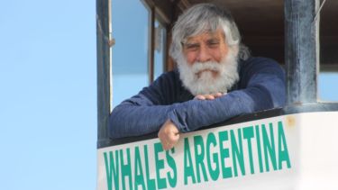 El capitán de las ballenas francas: la historia de Pinino, 50 años dentro de un documental