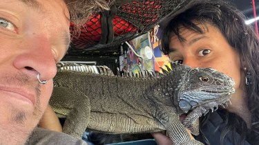 En un Citroën del 74, viajan con su iguana y sus dos perras por la Patagonia: son una «Manadaencitro»