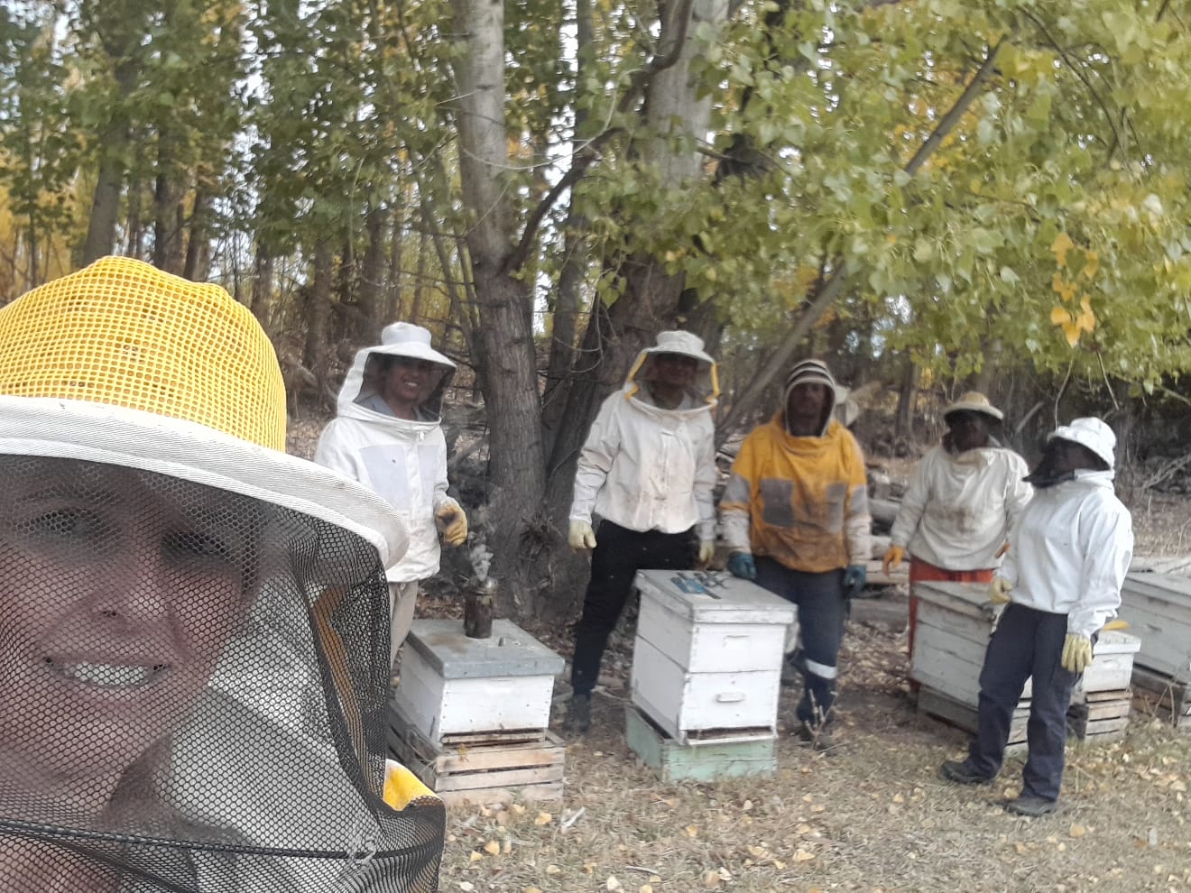 La Semana de la Miel celebra el valor de las abejas y de la apicultura