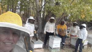 La Semana de la Miel celebra el valor de las abejas y de la apicultura
