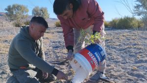 Innovador proyecto de hidrogel en Río Negro que busca restaurar áreas desérticas