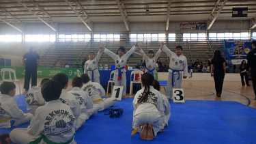 La Asociación Taekwondo Sur de Roca mostró su nivel en el Campeonato Provincial