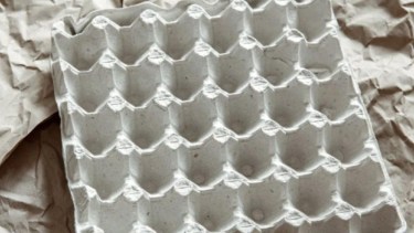 Carton maple de huevos.