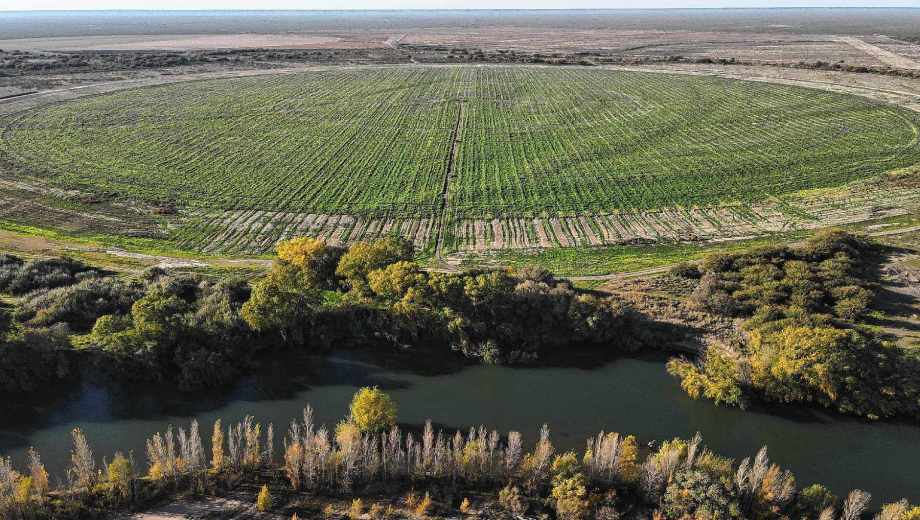 Agricultura en la costa del río Negro. Foto: archivo Juan Thomes.