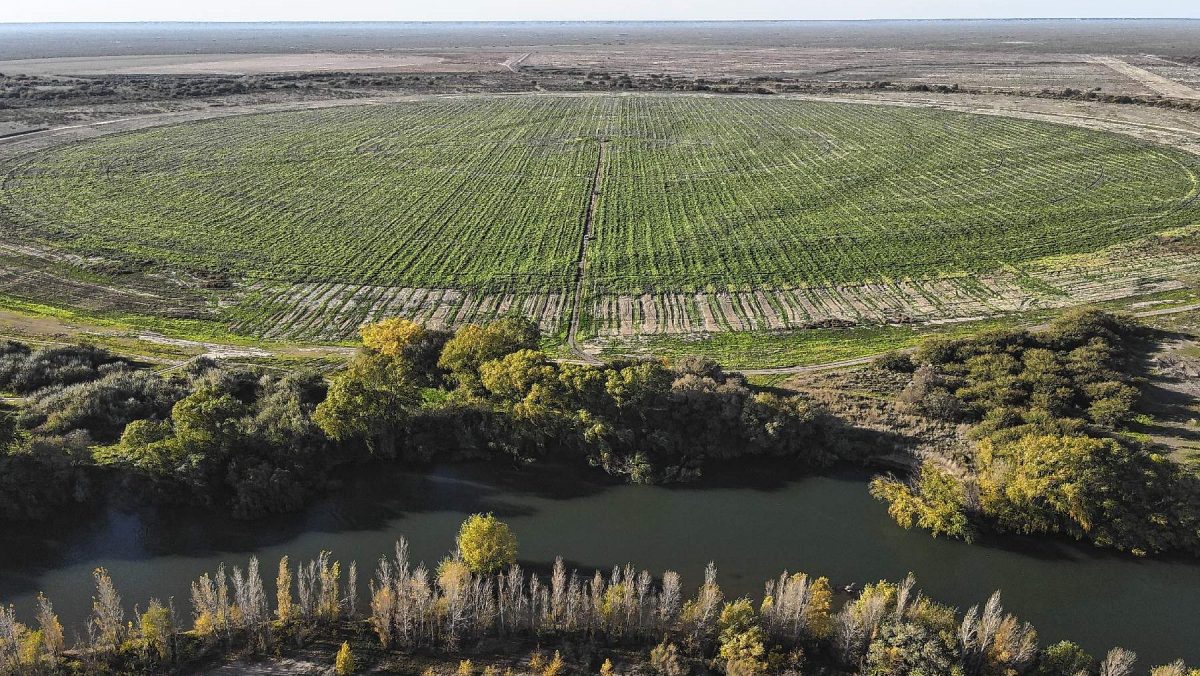 Kaita Co, en el valle Negro Muerto. Foto: Juan Thomes.