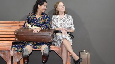 Teatro: estrena «Flores arrancadas a la niebla», en Ámbito Histrión, de Neuquén