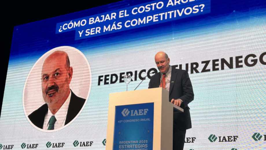 El ministro de Desregulación y Transformación del Estado, Federico Sturzenegger, cruzó a Techint. Foto: archivo.