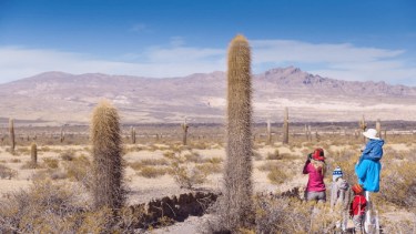 Feriados de junio 2025. 
