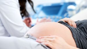 Embarazos bajo amenaza en Neuquén por un insecticida