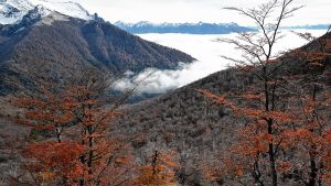 Todos quieren mi montaña: trekking de otoño al cerro Goye en Bariloche