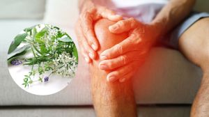 Artrosis: por qué duele y qué remedios naturales pueden ayudar a aliviar el dolor
