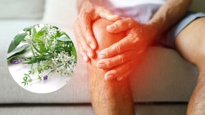 Artrosis: qué es, por qué duele y qué remedios naturales pueden ayudar