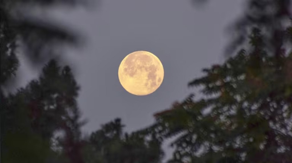 Influencia de la Luna Llena del 12 de Mayo de 2025: Consejos para Potenciar Tu Vida Influencia de la Luna Llena del 12 de Mayo de 2025: Consejos para Potenciar Tu Vida