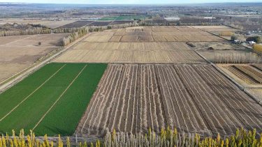 La soja superó los 400 dólares y envía una señal favorable para la economía argentina