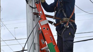 Servicio a la comunidad: CALF anunció un corte de luz programado para este miércoles 29 de octubre