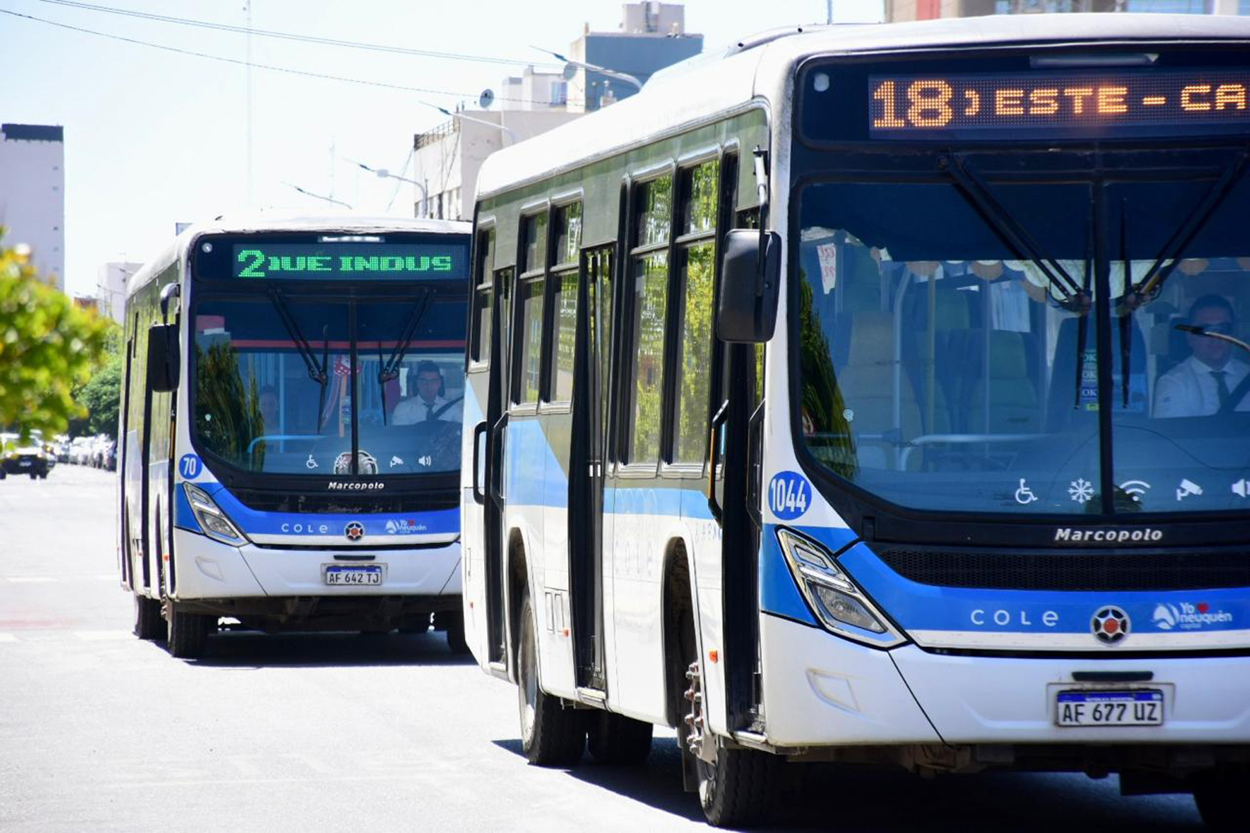 Colectivos, cementerio, estacionamiento y más: así funcionarán los servicios de Neuquén en Nochebuena y Navidad