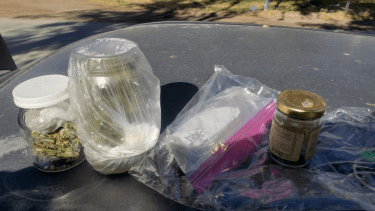 La marihuana estaba en una bolsa de nylon y frascos, a simple vista. Los tres ocupantes quedaron imputados.
