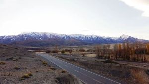 El Alamito florece en Neuquén: un sueño familiar que se convirtió en refugio para los viajeros de la Ruta 43