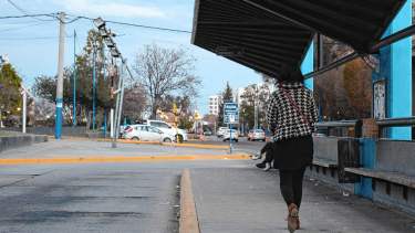 A qué hora se normalizará el servicio de colectivos en Neuquén y Río Negro, tras el paro de UTA. Foto: Juan Thomes