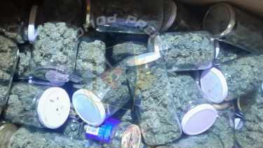 Tres allanamientos en Neuquén por robo, finalizaron con el secuestro de kilos de marihuana. Foto: gentileza.