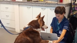 Nació en Neuquén, es veterinaria y transforma las consultas de sus pacientes en ciencia para que vivan mejor