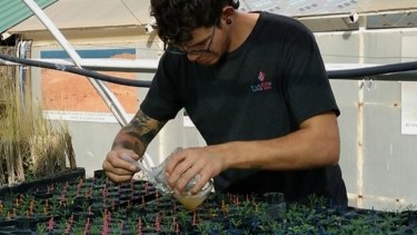 Las carreras del CREUZA, en Zapala.-