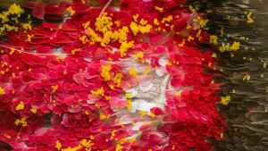 Fotos de lo invisible: el trabajo de Antonio y Priscilla deslumbra desde Bariloche