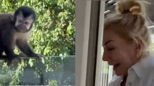 El drama que vivió Yanina Latorre en Puerto Iguazú: “Son chorros, váyanse, ¿Qué quieren?” 