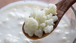 Tres alimentos blancos que regeneran la flora intestinal y fortalecen tus defensas