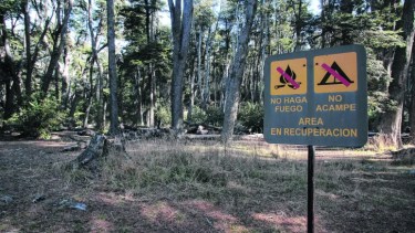 La protección efectiva de los bosques cordilleranos es una deuda del estado provincial. (archivo)
