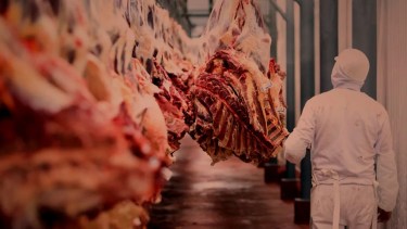 Hubo novedades para la exportación de carnes. Foto: Archivo. 