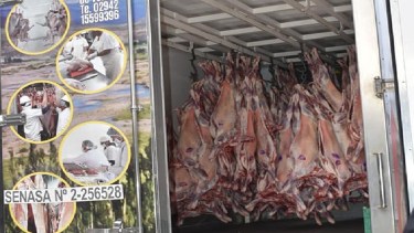 La planta de Chos Malal garantiza sanidad y logística hasta los puntos de venta (Cordecc)