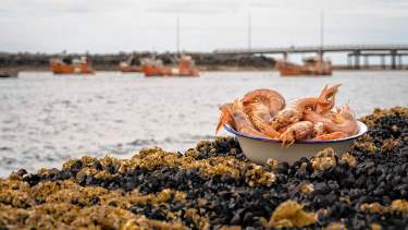 Lucas Salas, el pescador artesanal de centollas en Comodoro Rivadavia