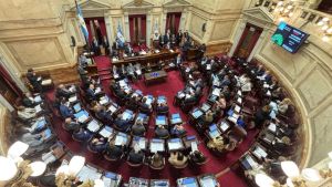 Cómo fue el rechazo a Ficha Limpia en el Senado: dos senadores se dieron vuelta y la ley no se aprobó por un voto