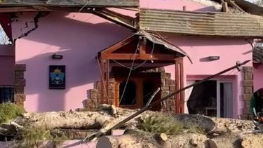 Video viral | Podaron un pino en un municipio de Neuquén y cayó arriba del edificio: habló el intendente