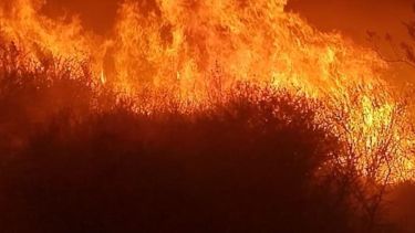 Incendio de pastizales en Senillosa. Foto: Gentileza. 