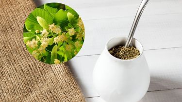 Sumar tilo al mate puede ser una estrategia sencilla y efectiva para quienes buscan mejorar la calidad del sueño sin recurrir a medicamentos. 