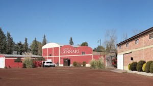 De Fernández Oro al exterior: el legado vitivinícola de la familia Gennari