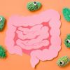 Imagen de Microbiota intestinal: el secreto para mejorar tu salud física y emocional