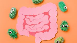 Microbiota intestinal: el secreto para mejorar tu salud física y emocional