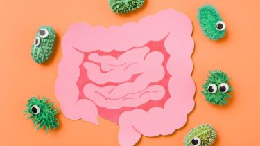 Cuidar tu microbiota intestinal es una forma concreta de fortalecer tu salud desde adentro. No hace falta hacer cambios radicales: pequeñas decisiones cotidianas pueden generar grandes resultados a largo plazo.

