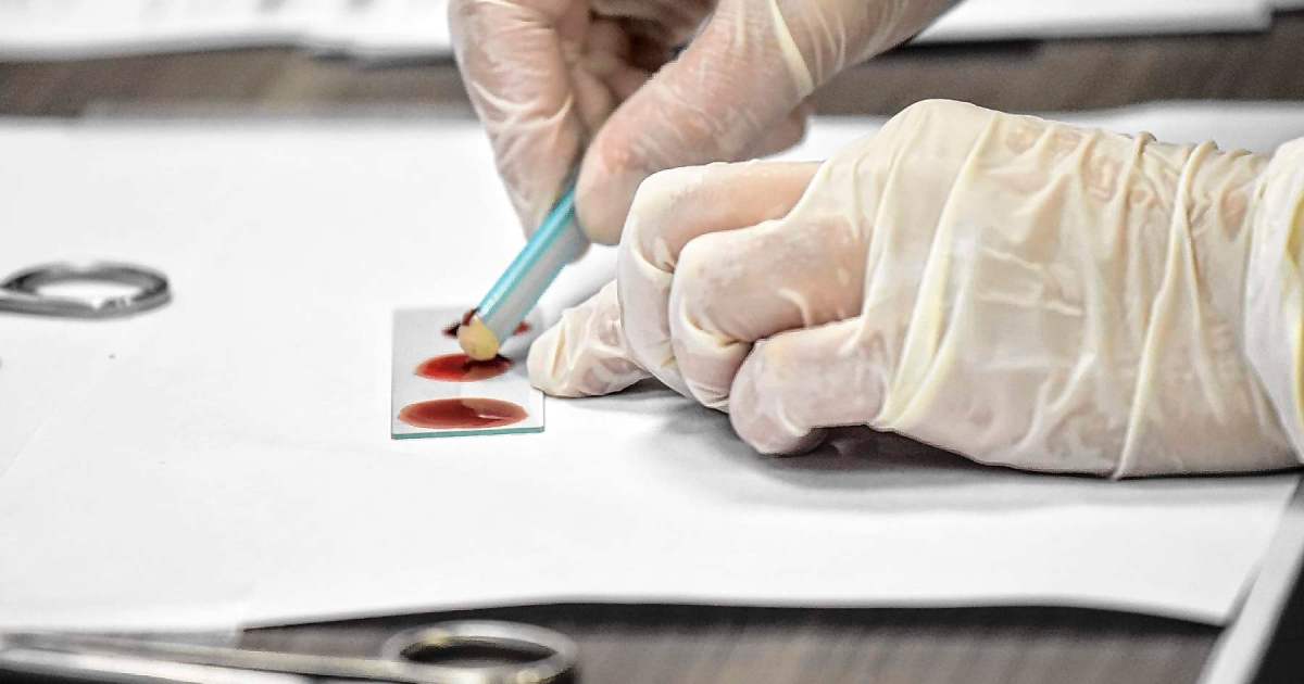 Río Negro reduce casi un 20% el descarte de unidades de sangre