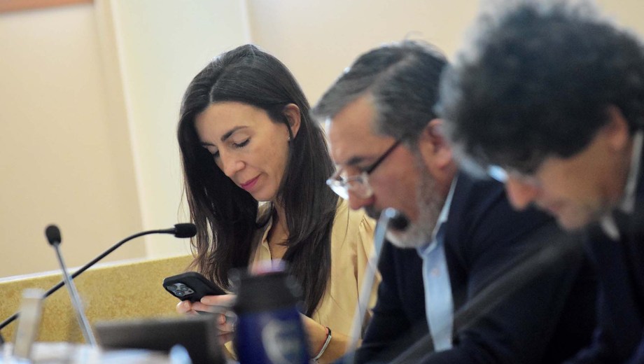 La concejala Romina Miranda presentó la iniciativa en la sesión (foto archivo Matías Subat)