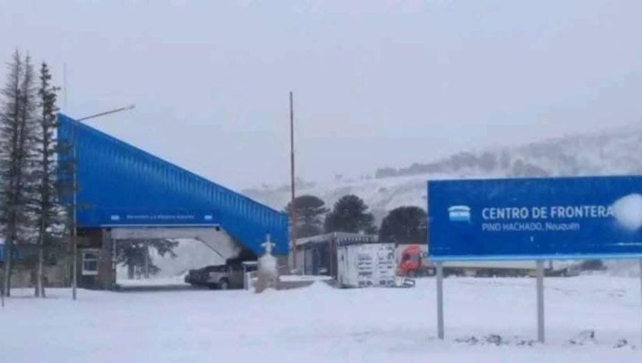 Cerrado Pino hachado. Foto: Gentileza Municipalidad de Las Lajas. 