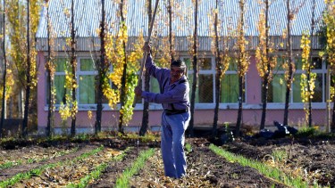 Valles del Chañar: la chacra que alimenta el futuro