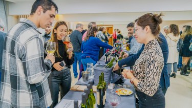 Fin de semana en Neuquén: Mercado de Vinos y sabores auténticos te esperan