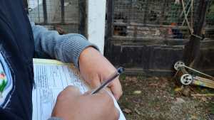 Ataques de perros en el centro de Bariloche: varias denuncias a la dueña y carteles de venta de animales