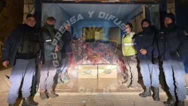 Decomisan más de 4.800 kilos de carne en el ingreso a Neuquén: el cargamento superaba los $88 millones