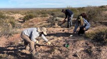 Imagen de La Universidad del Comahue lidera una nueva exploración paleontológica pionera en 25 de Mayo