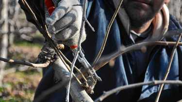 Lo que la reforma laboral modifica para las empresas del agro